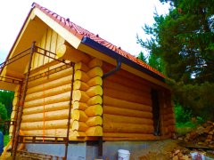 P1020417.JPG