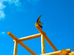 P1020106.JPG
